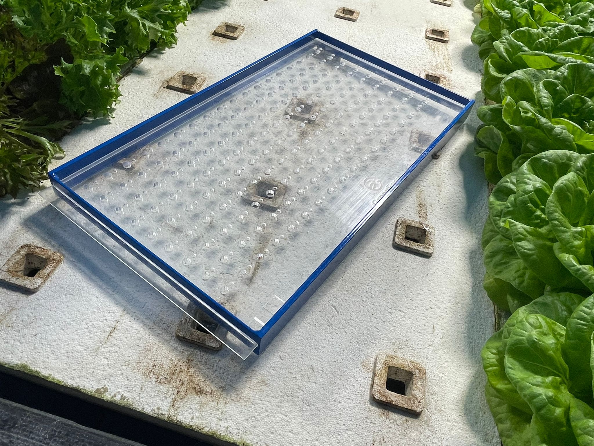 18+ Microgreen Drop Seeder The Drop Seeder – GreenEase