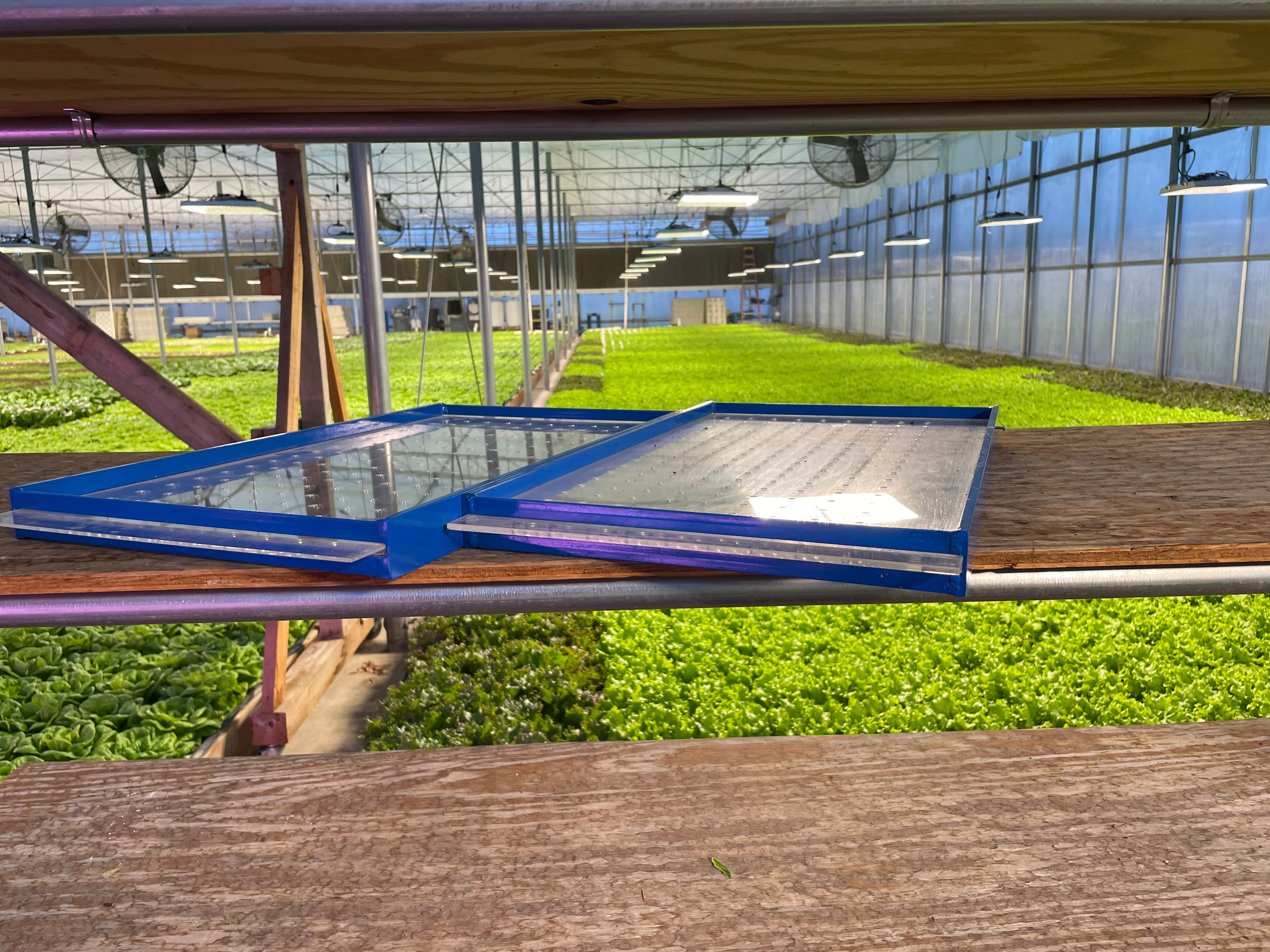 18+ Microgreen Drop Seeder Custom Drop Seeder – GreenEase