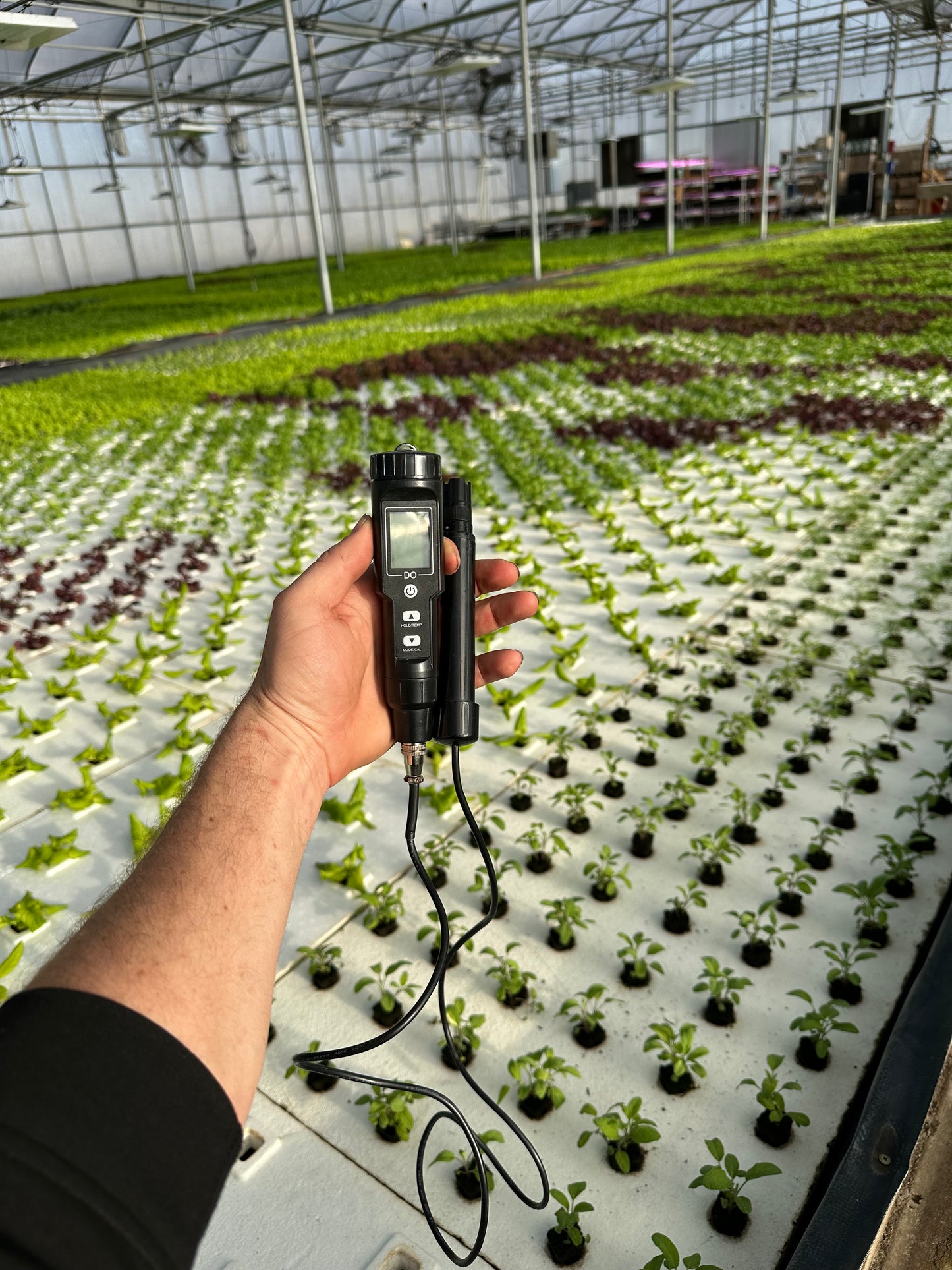 Dissolved Oxygen Meter With Simple Instructions