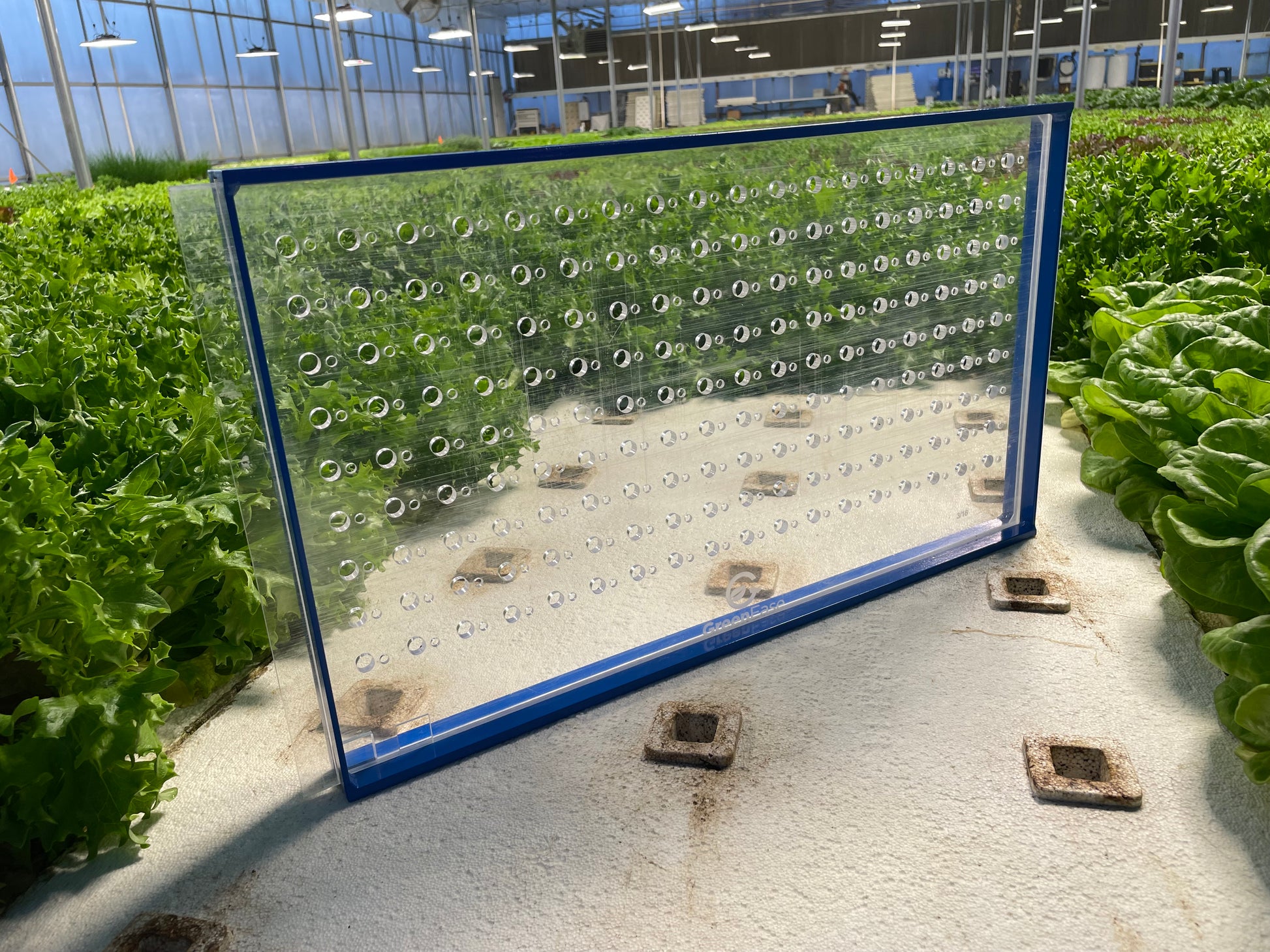 seed ace vacuum planter GreenEase Drop Seeder for Oasis® Horticubes