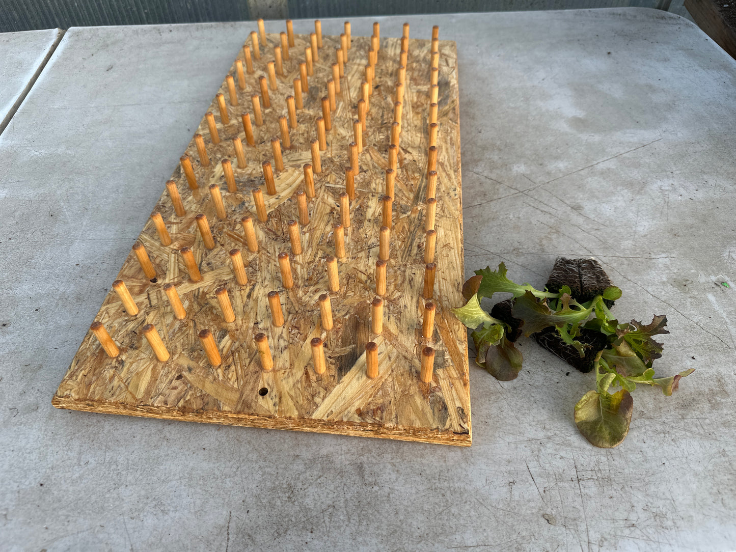 T. O. Plastics Plug Popper