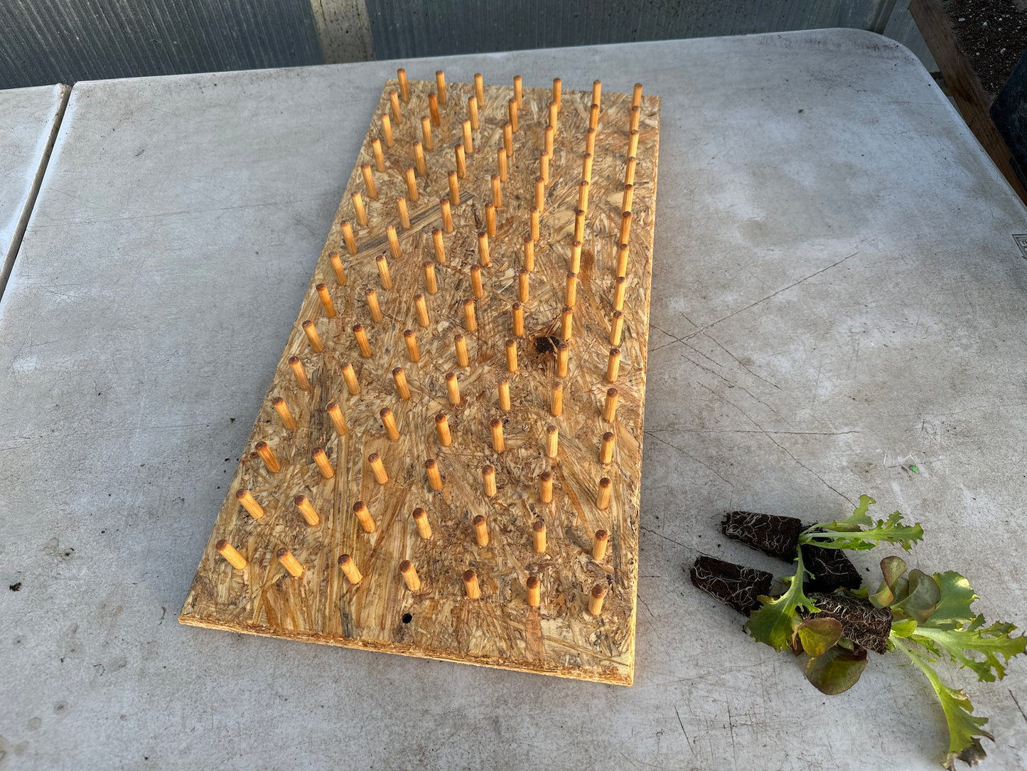 T. O. Plastics Plug Popper