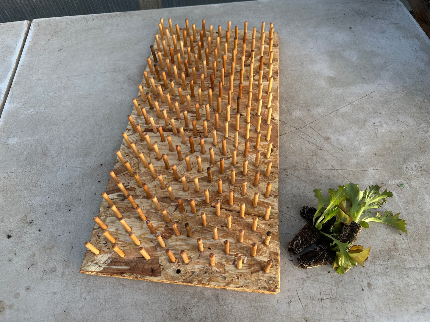 T. O. Plastics Plug Popper