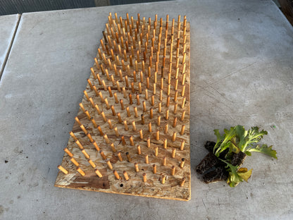 T. O. Plastics Plug Popper