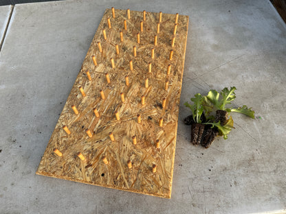 T. O. Plastics Plug Popper