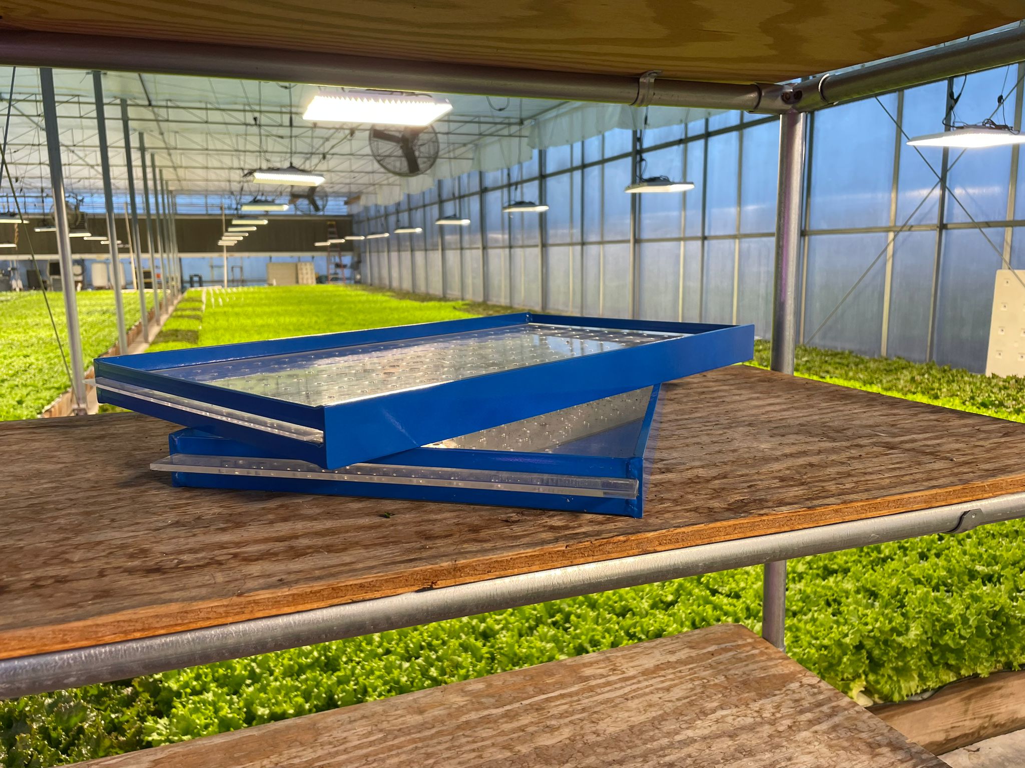 18+ Microgreen Drop Seeder QuickPlug Drop Seeder – GreenEase