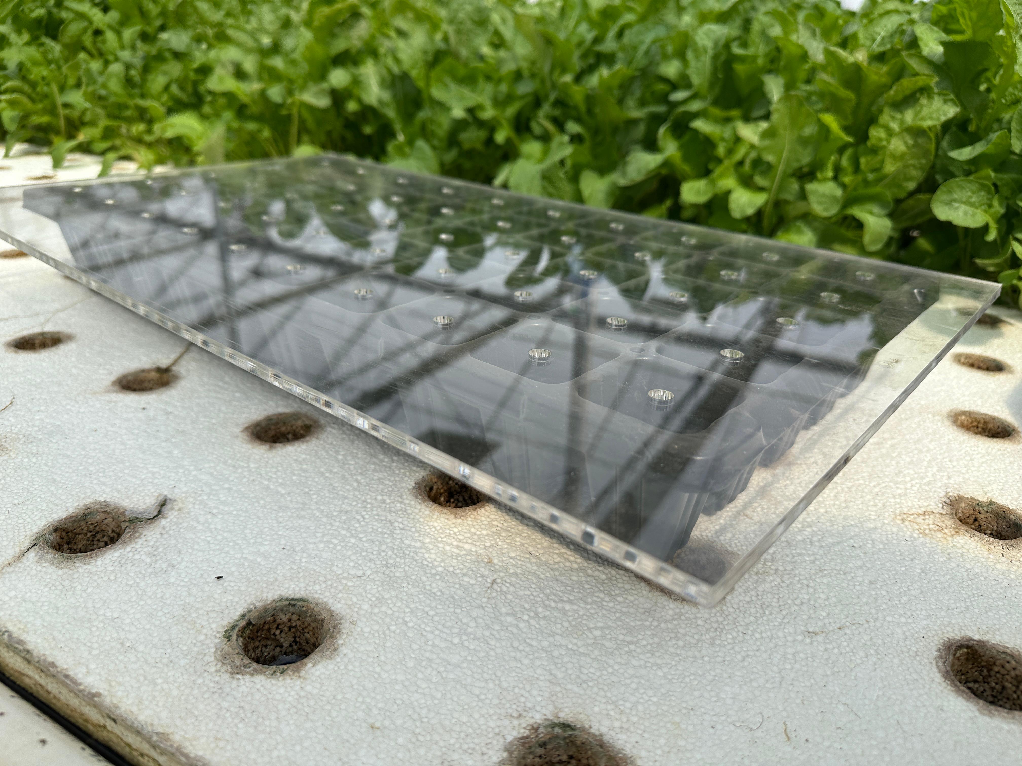 18+ Microgreen Drop Seeder All Drop Seeders – GreenEase