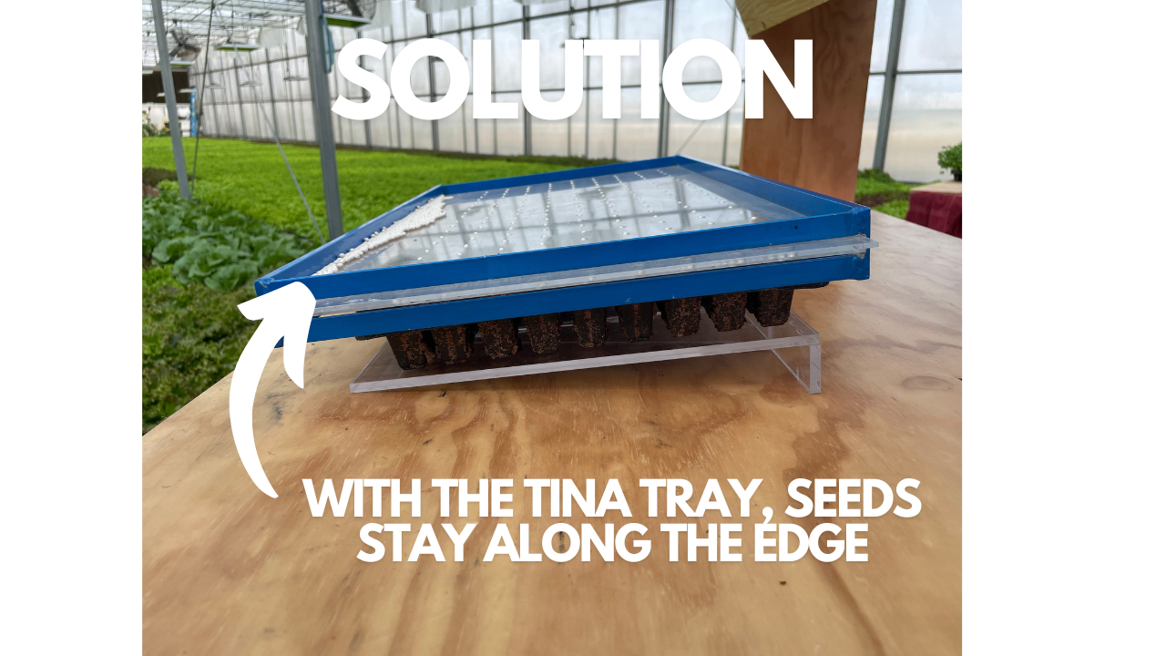 Tina Tray